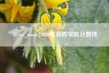 鹿邑2020年消防学院分数线