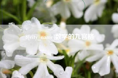 鹿邑数字的九宫格