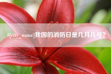 鹿邑我国的消防日是几月几号？