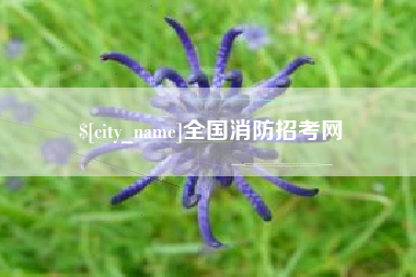 鹿邑全国消防招考网