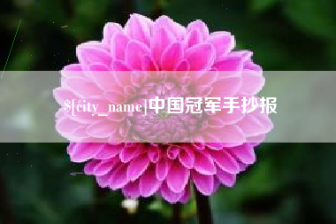 鹿邑中国冠军手抄报