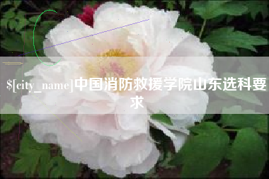 鹿邑中国消防救援学院山东选科要求
