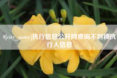 鹿邑执行信息公开网查询不到被执行人信息