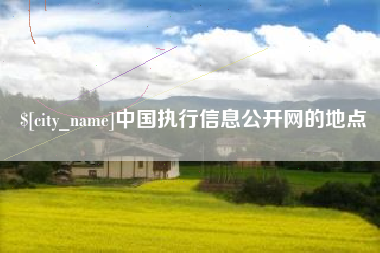 鹿邑中国执行信息公开网的地点