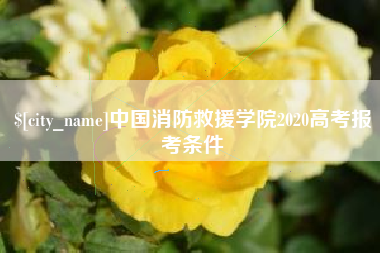 鹿邑中国消防救援学院2020高考报考条件
