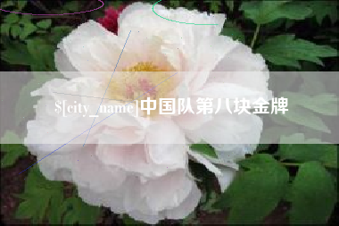 鹿邑中国队第八块金牌