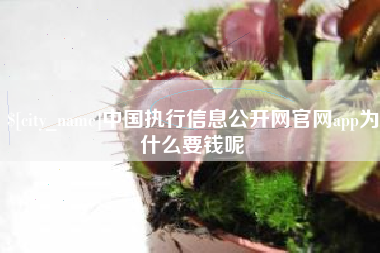 鹿邑中国执行信息公开网官网app为什么要钱呢