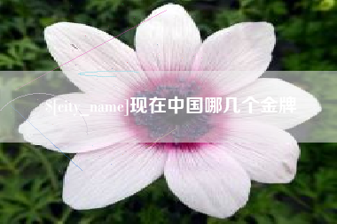 鹿邑现在中国哪几个金牌