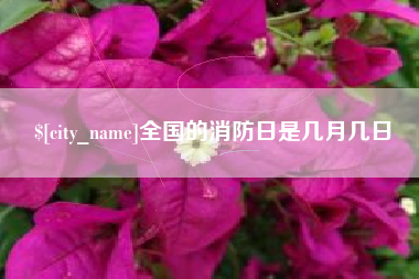 鹿邑全国的消防日是几月几日