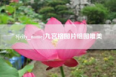 鹿邑九宫格图片组图唯美