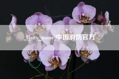 鹿邑中国消防官方