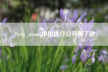 鹿邑中国执行公开网下载