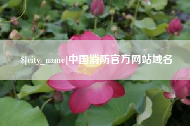 鹿邑中国消防官方网站域名