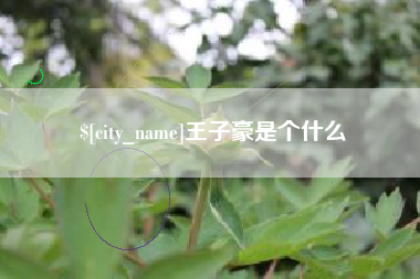 鹿邑王子豪是个什么