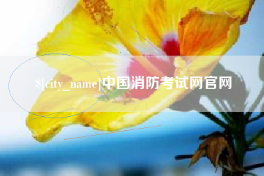 鹿邑中国消防考试网官网