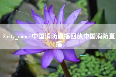 鹿邑中国消防直播回放中国消防直播