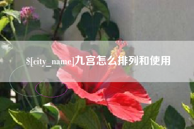 鹿邑九宫怎么排列和使用