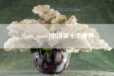 鹿邑中国第十个金牌