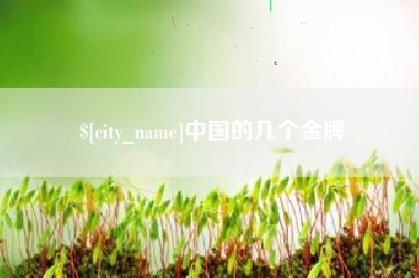 鹿邑中国的几个金牌