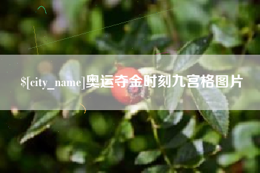 鹿邑奥运夺金时刻九宫格图片