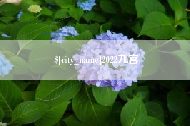 鹿邑2022九宫
