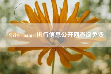 鹿邑执行信息公开网查询免费
