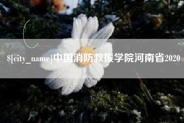 鹿邑中国消防救援学院河南省2020